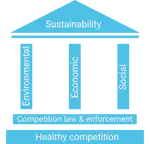 Healthy Competition is a Prerequisite for Achieving Sustainable Development Goals